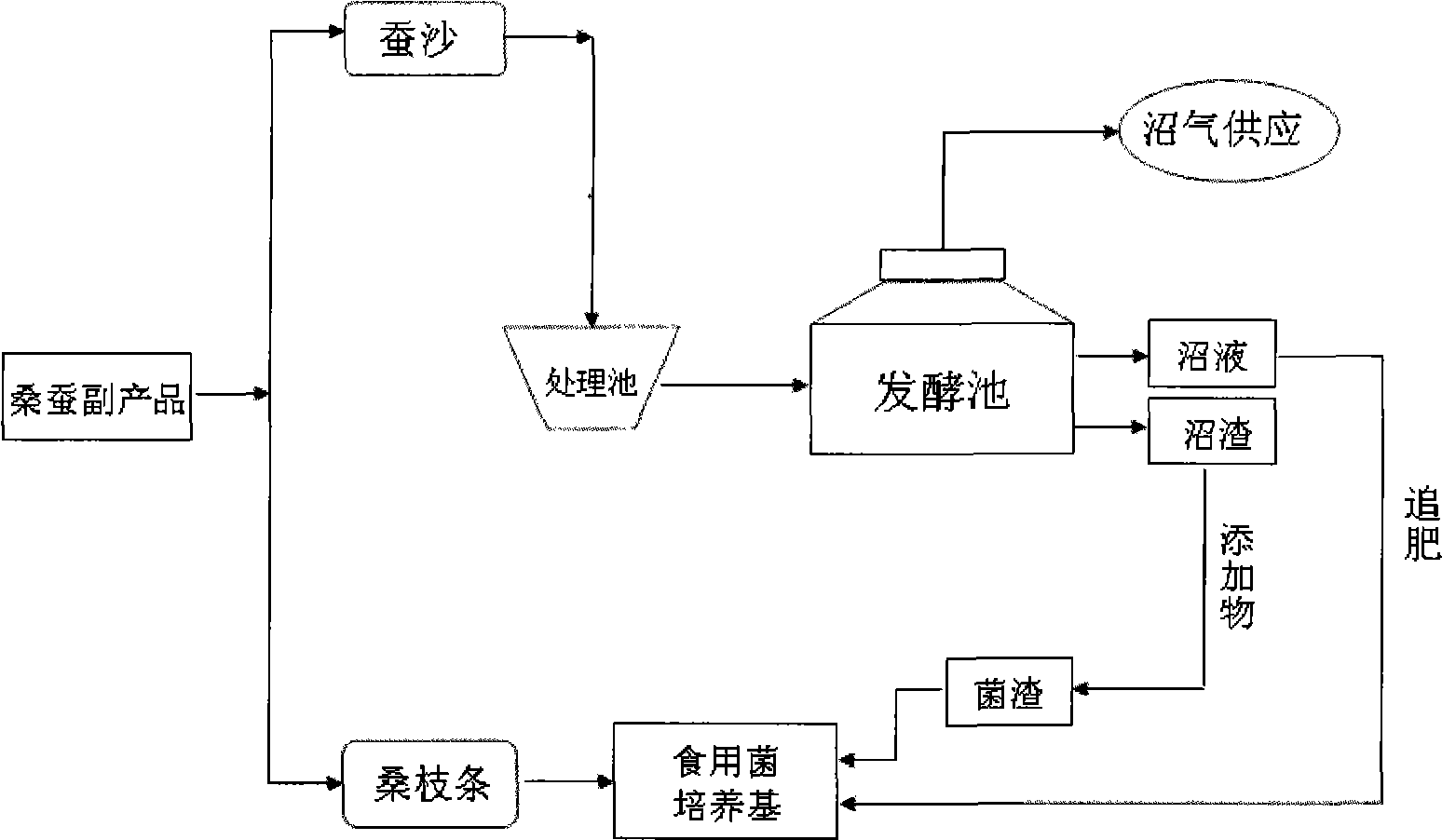 Application of silkworm and mulberry by-product silkworm excrement fermentation wastes in edible fungus cultivation