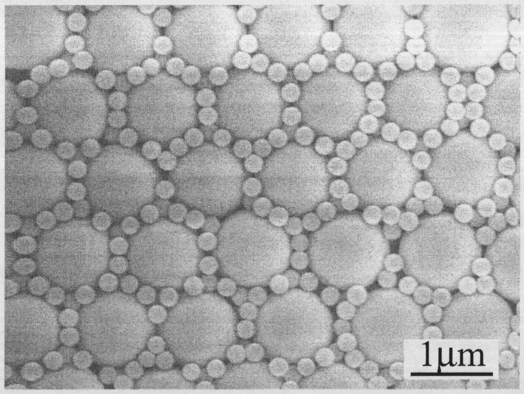 Binary ordered colloidal crystal template and preparation method and use thereof