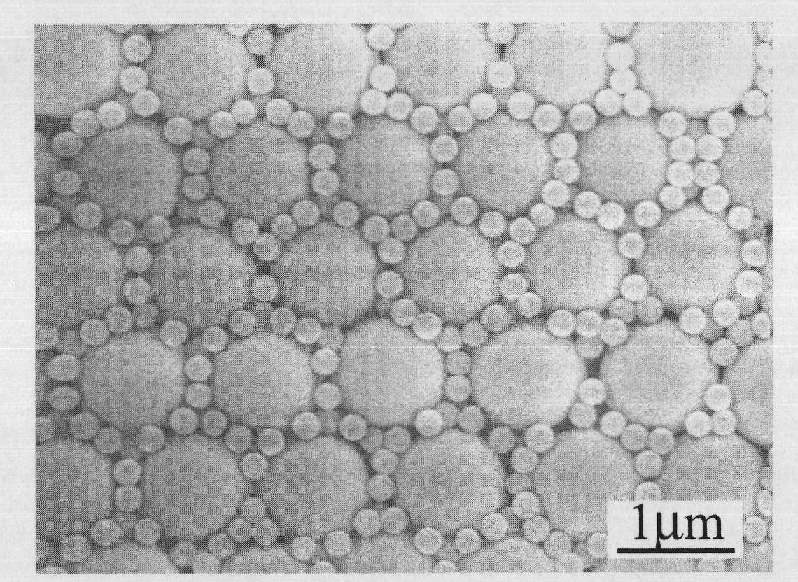 Binary ordered colloidal crystal template and preparation method and use thereof