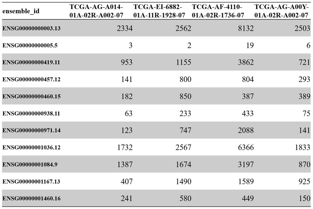 Tumor gene co-expression network construction method and device, equipment and storage medium