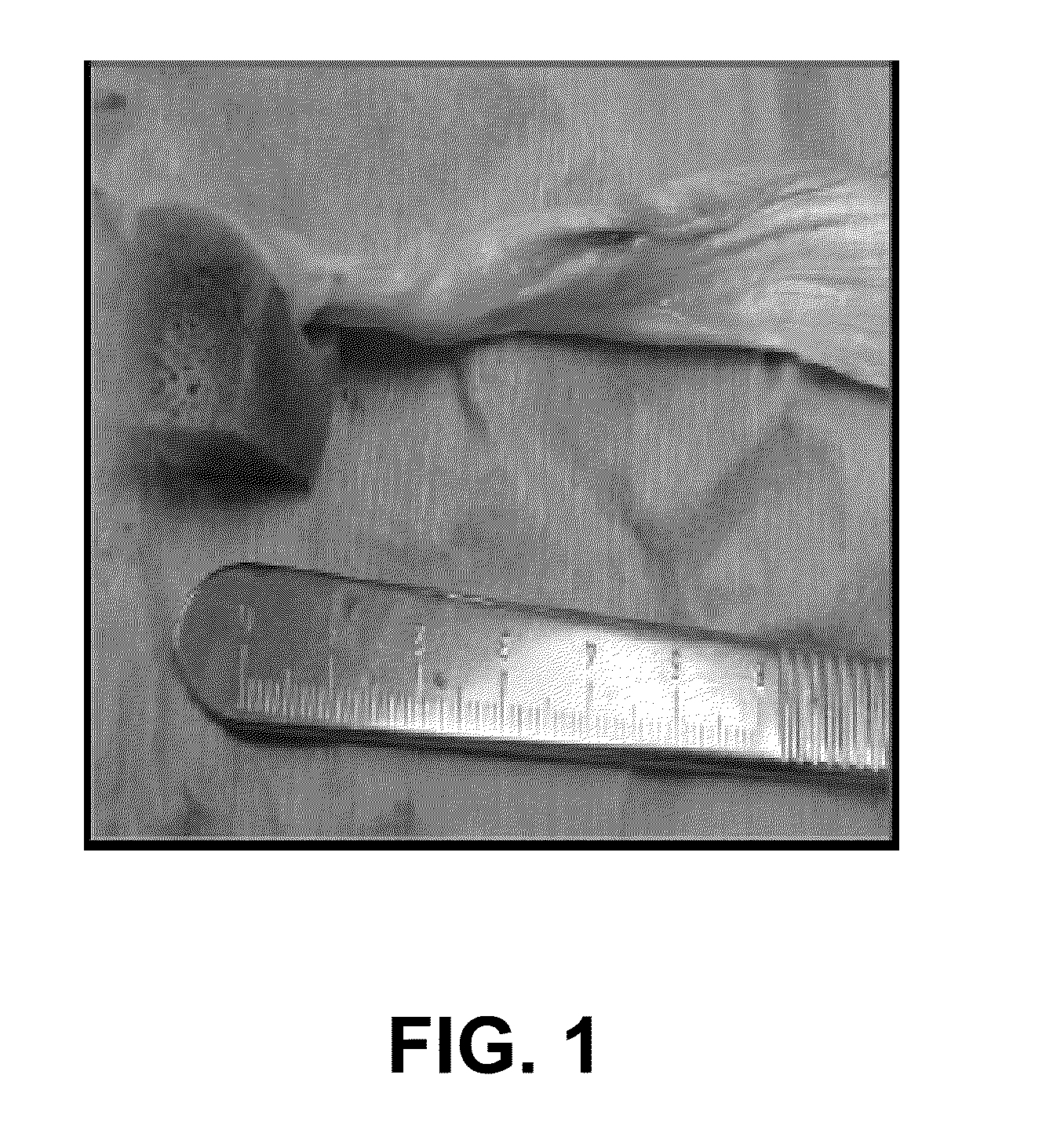 Rotator cuff bone-tendon allograft