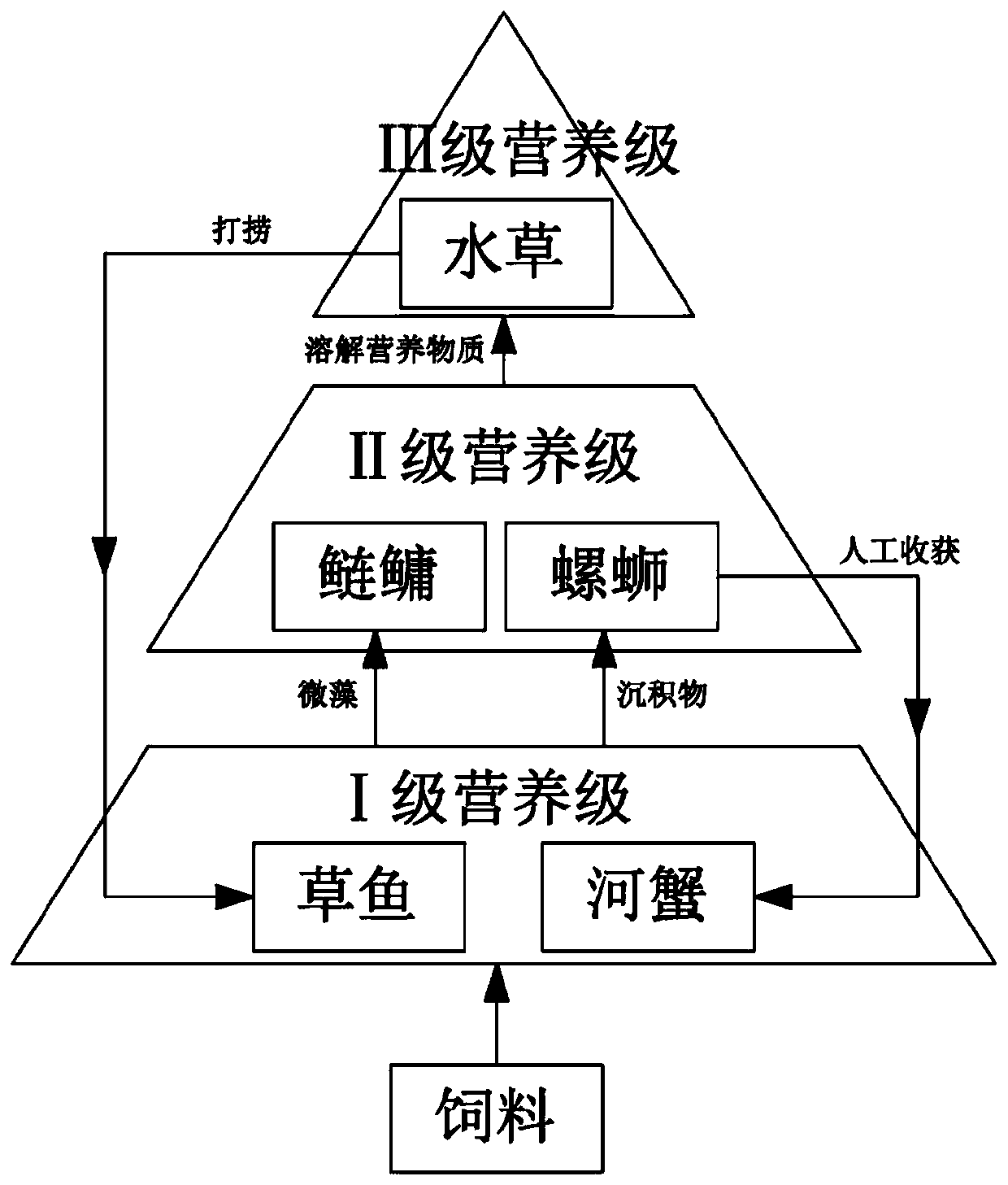 Construction and breeding method of grass carp-river crab-snail multi-nutrient-level pond system