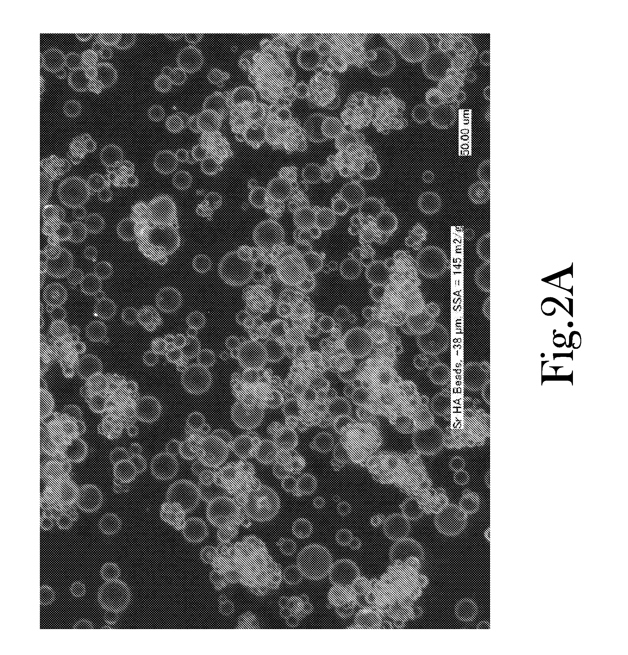 Isotope-Specific Separation and Vitrification Using Ion-Specific Media