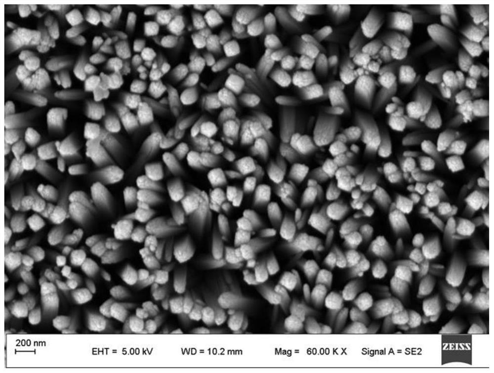 A kind of ternary semiconductor lamination composite photoelectrode and its preparation method and application