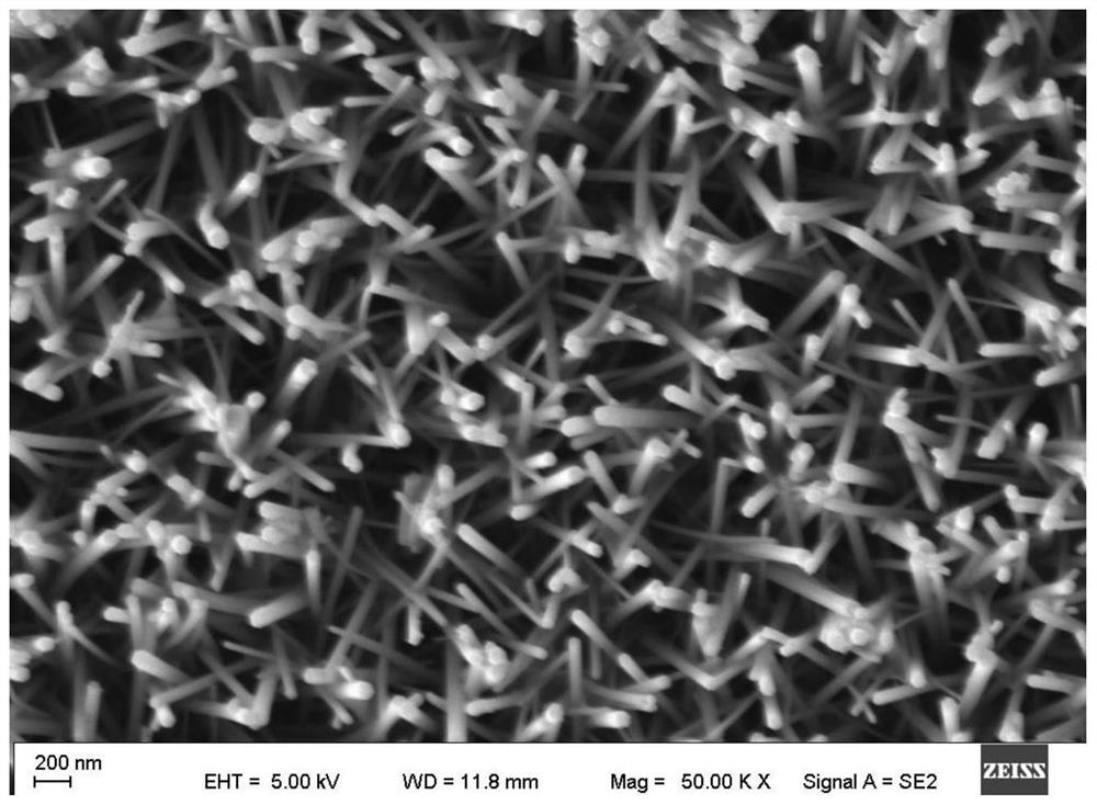 A kind of ternary semiconductor lamination composite photoelectrode and its preparation method and application