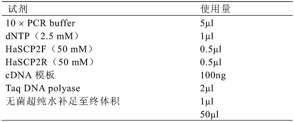 Preservation method of sterol carrier protein 2 of cotton bollworm