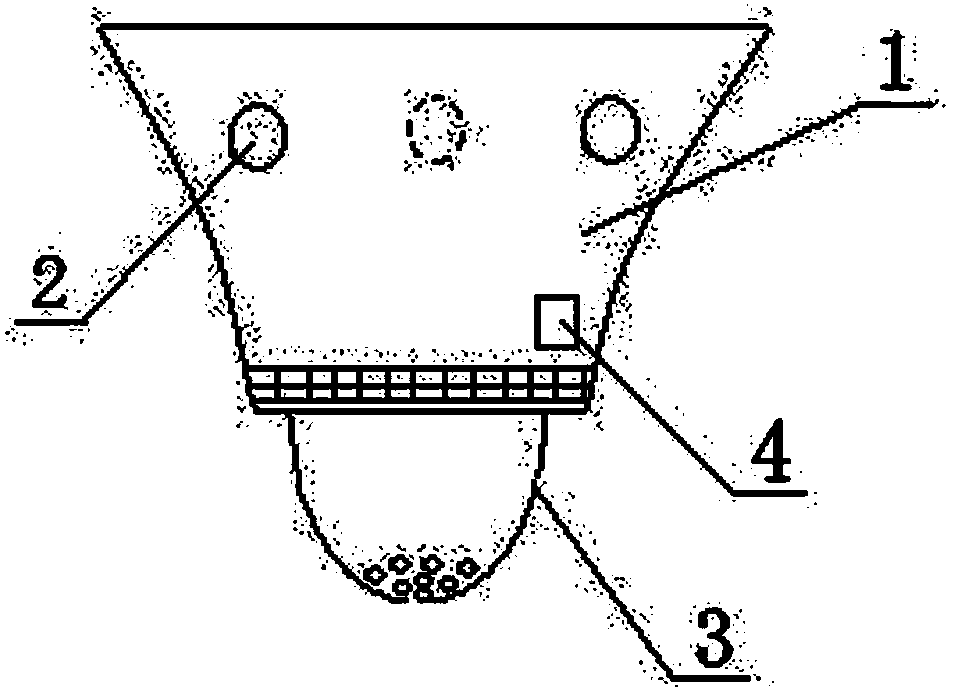 Smoke detector with anion generation and illumination in smoke state