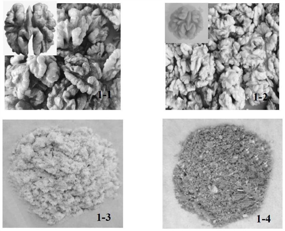 Pretreatment method of walnut kernels