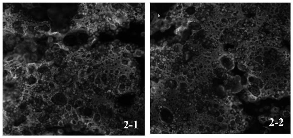 Pretreatment method of walnut kernels