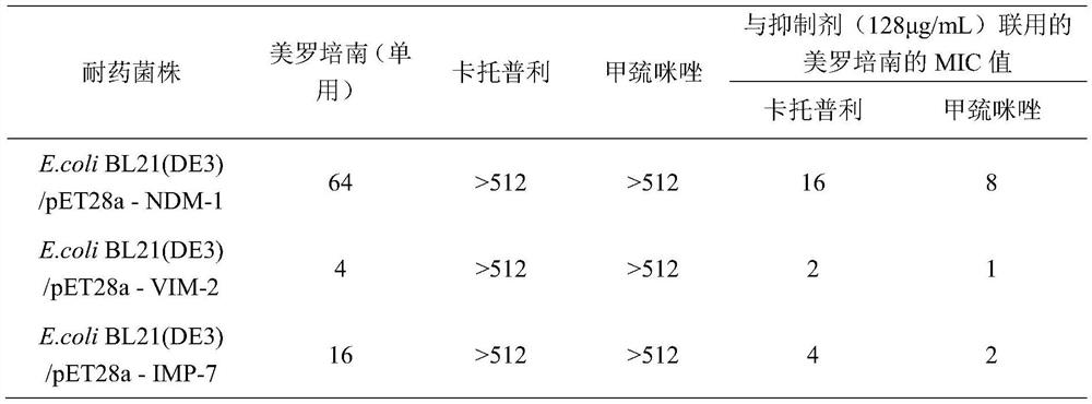 Application of methimazole serving in as and/or in preparation of metal beta-lactamase inhibitor