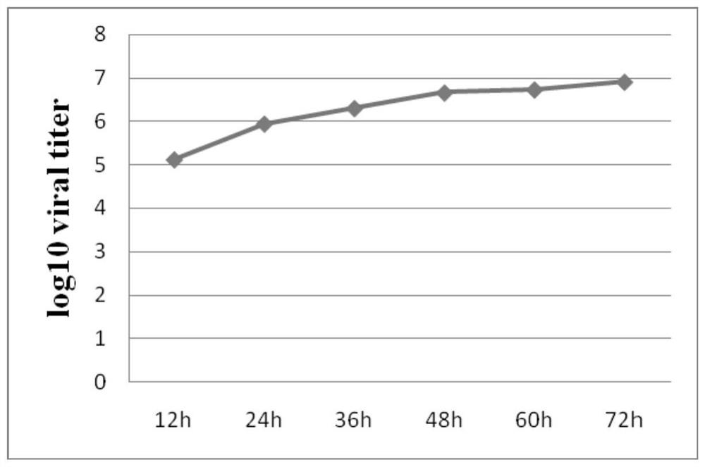 Preparation method of immune vaccine for resisting porcine epidemic diarrhea virus variant shxx1902