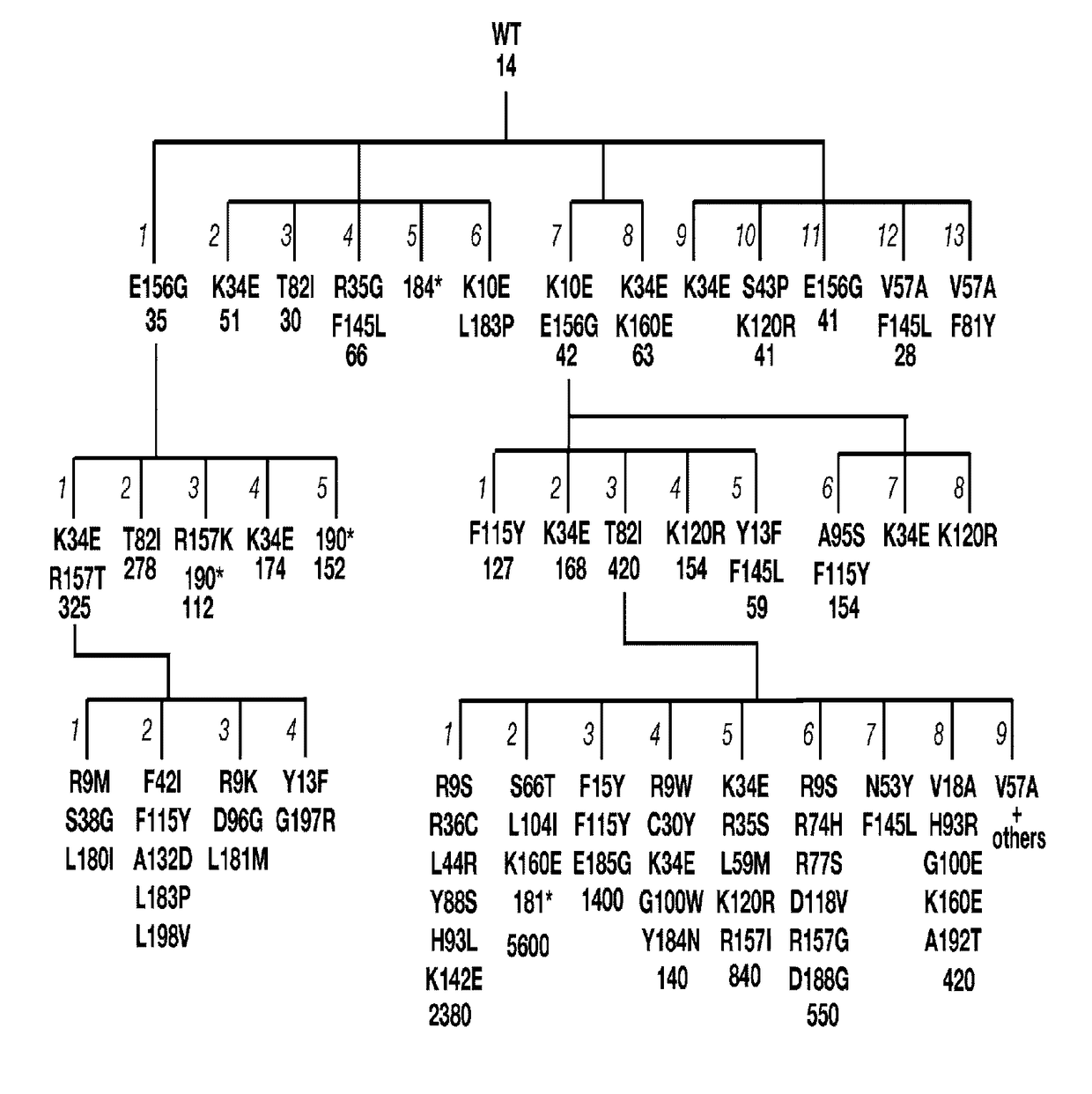 Mutants of activation-induced cytidine deaminase (AID) and methods of use