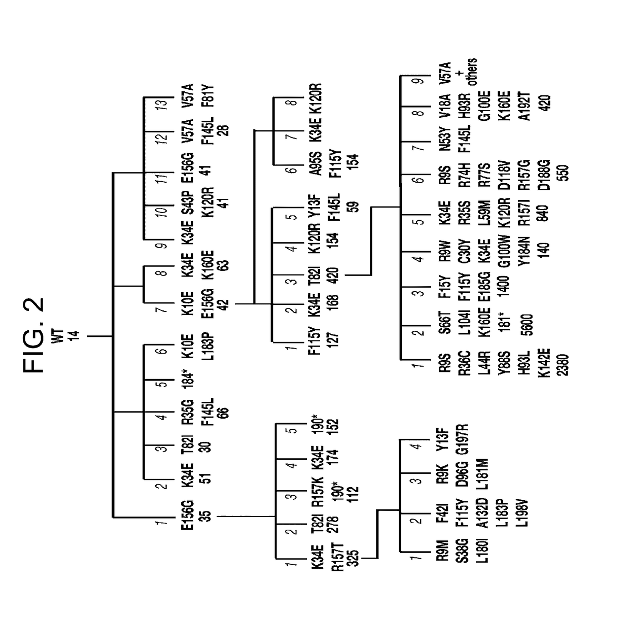 Mutants of activation-induced cytidine deaminase (AID) and methods of use