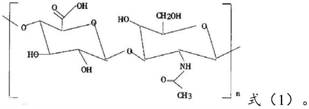 Pharmaceutical preparation containing hyaluronic acid, drug transdermal patch and preparation method thereof