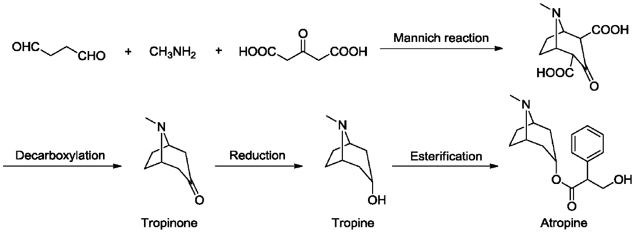 A kind of tropane type alkaloid and its synthetic method