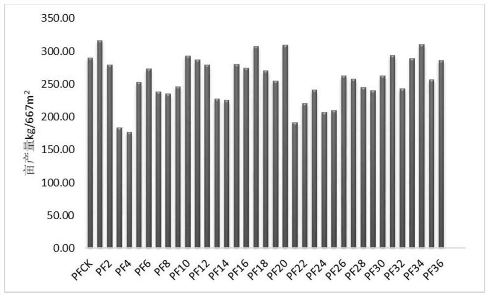 Fertilizer combined application method for improving yield and quality of radix curcumae longae