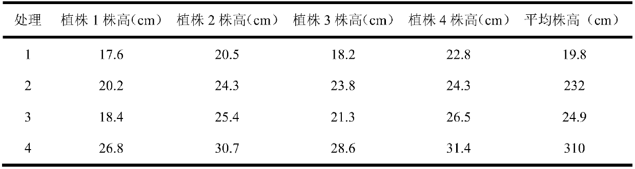 Slowly-released synergistic compound fertilizer