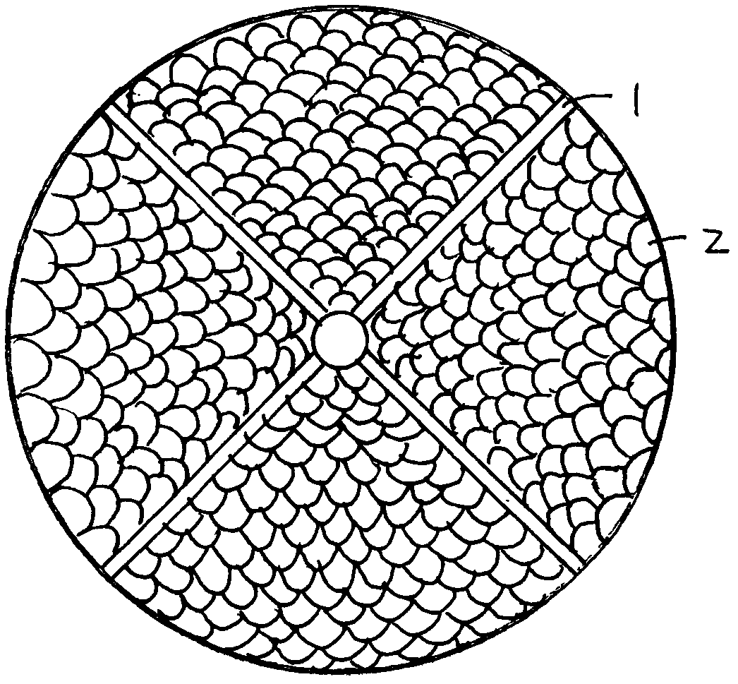 Embedded magnetic stone particle-shaped fitness treading carpet