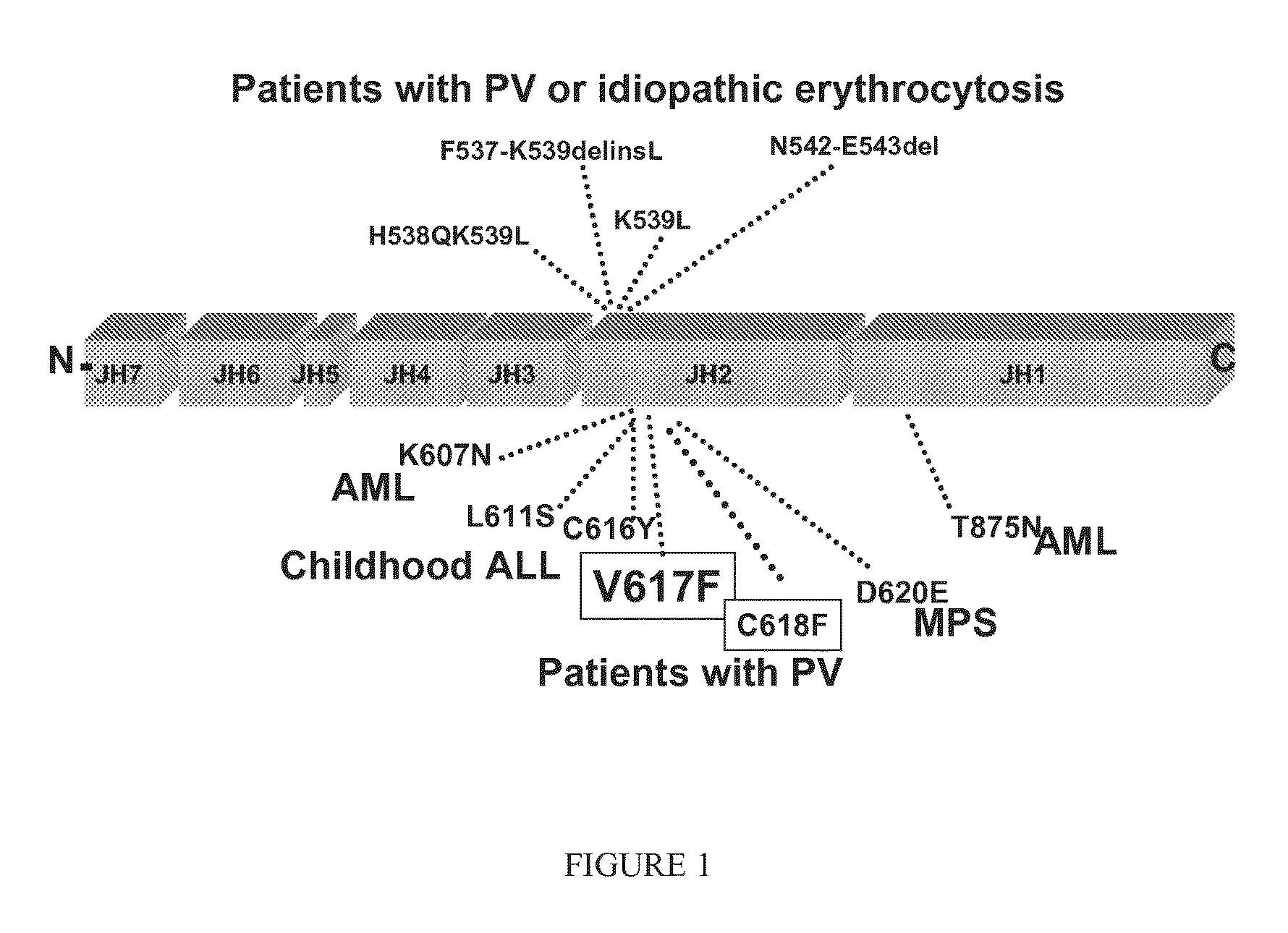 Dual activity kinase domains and uses thereof