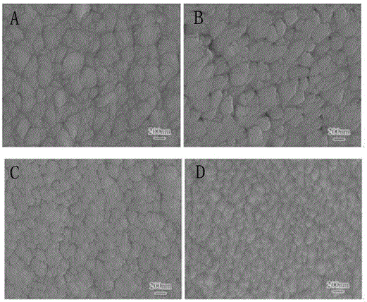 Method for preparing multilayer thin film and evaluating binding performance thereof