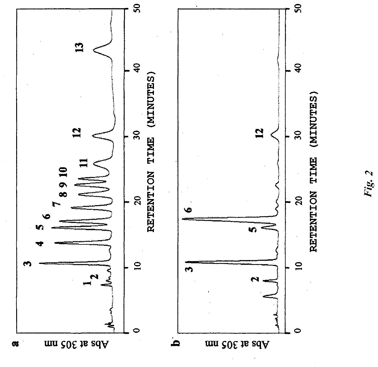 Polysaccharide having innate immunity stimulating activity and  innate  immunity stimulating agent or food and drink comprising thereof