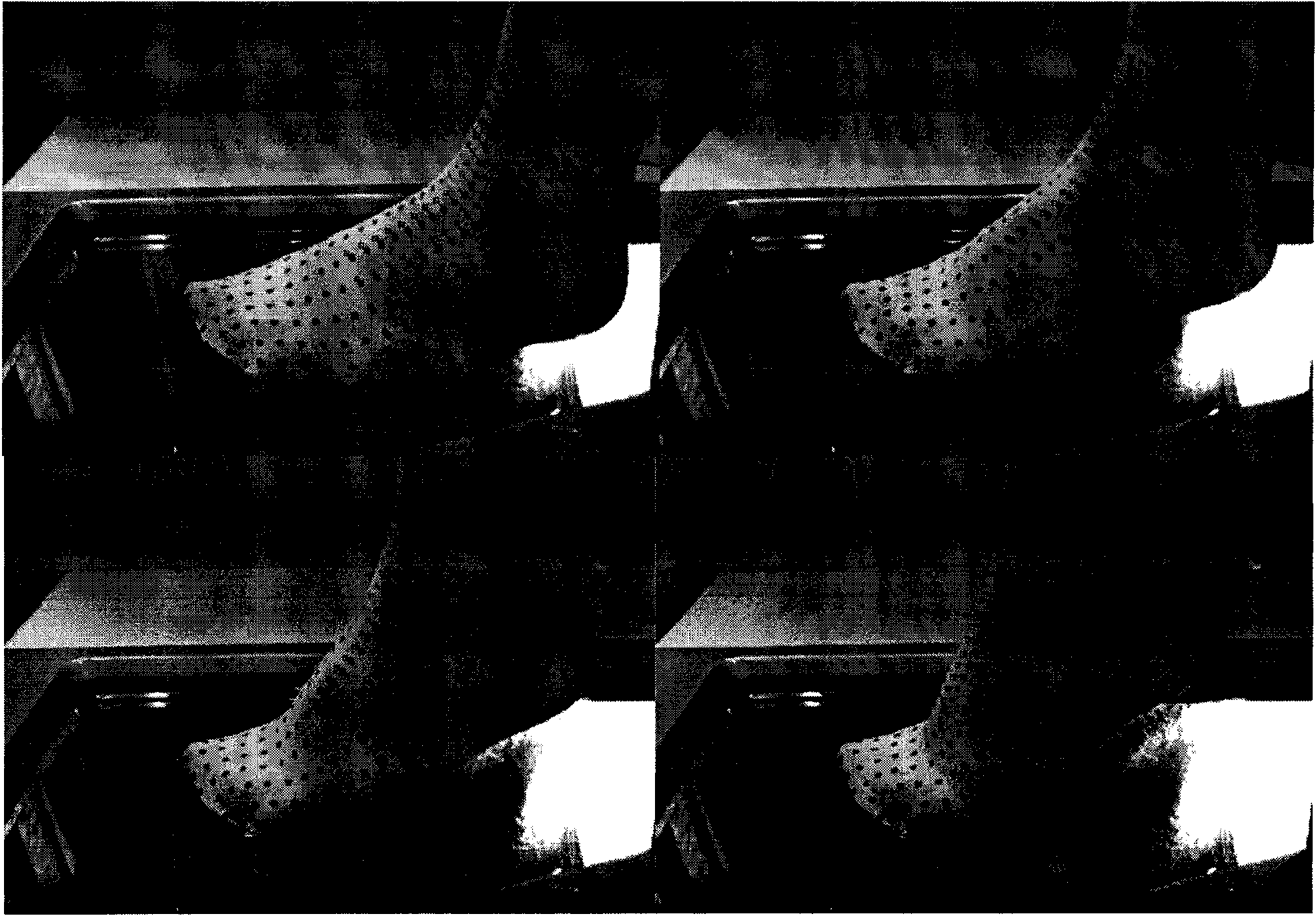 Method for obtaining dynamic shape of foot model