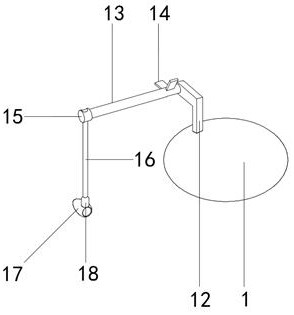 Bird repelling device for mud flat crab culture