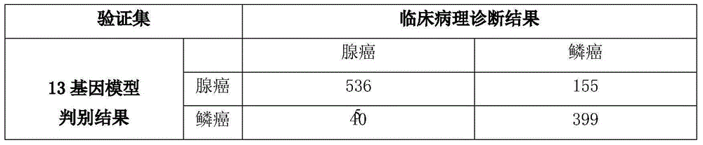 Group of genes for lung cancer molecular subtyping and application thereof