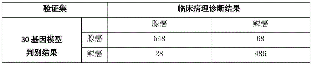 Group of genes for lung cancer molecular subtyping and application thereof