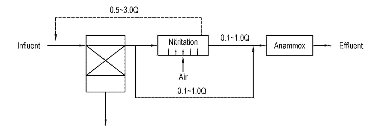 Wastewater treatment apparatus adopting biofiltration process for pretreatment of shortened nitrogen removal process