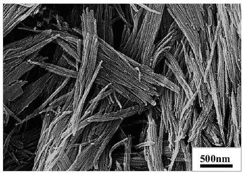 A kind of one-dimensional porous nanocomposite material and its preparation method and application in electrolyzed water