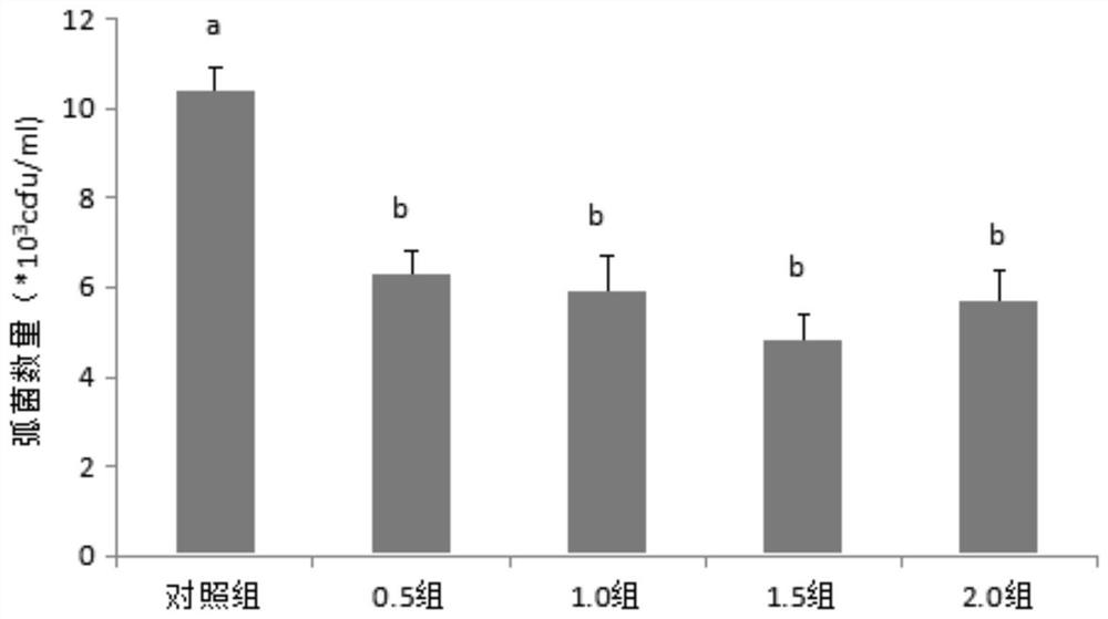 Chinese herbal medicine immunopotentiator for groupers as well as preparation method and application of Chinese herbal medicine immunopotentiator