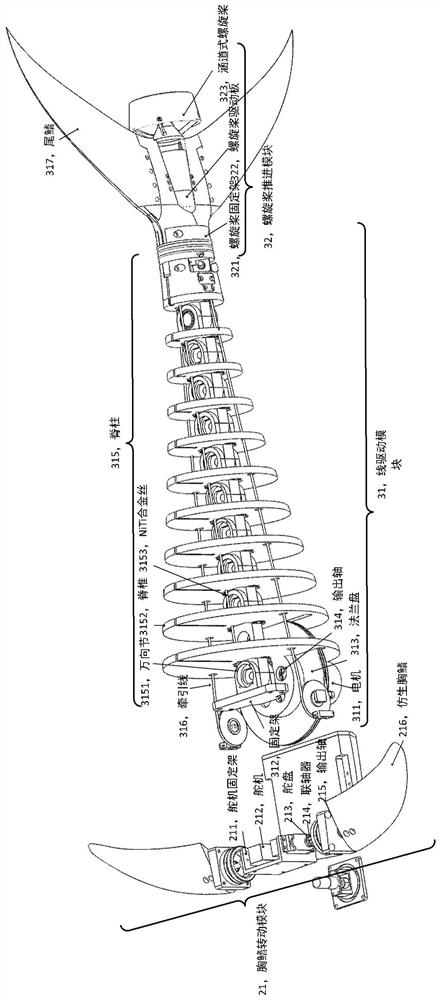 Hybrid line-driven continuous bionic robot tuna