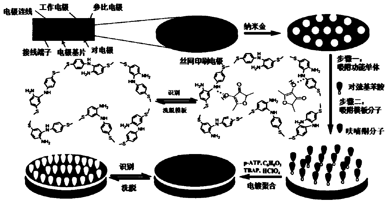 A Portable AHL Molecularly Imprinted Screen Printed Electrochemical Detector