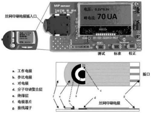 A Portable AHL Molecularly Imprinted Screen Printed Electrochemical Detector