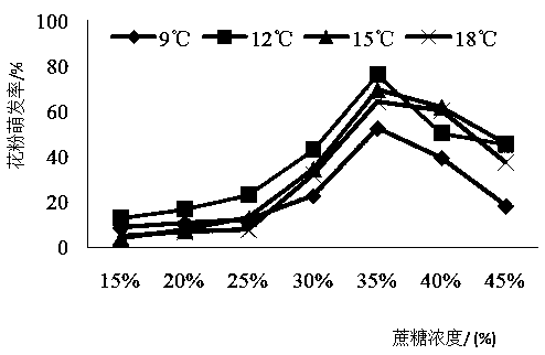 Culturing method of Lonicera fragrantissima in vitro pollen germination