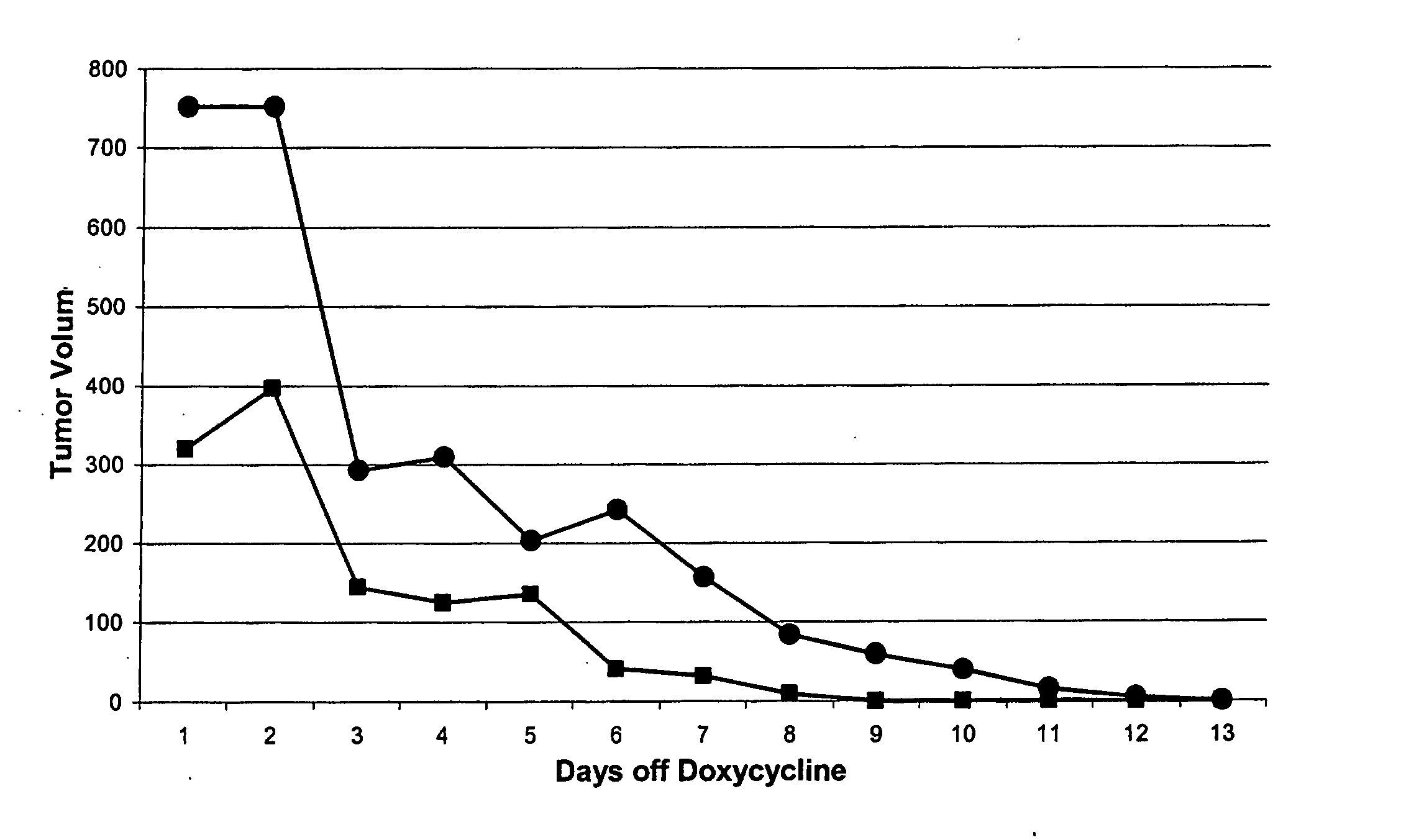 Chimeric Cancer Models