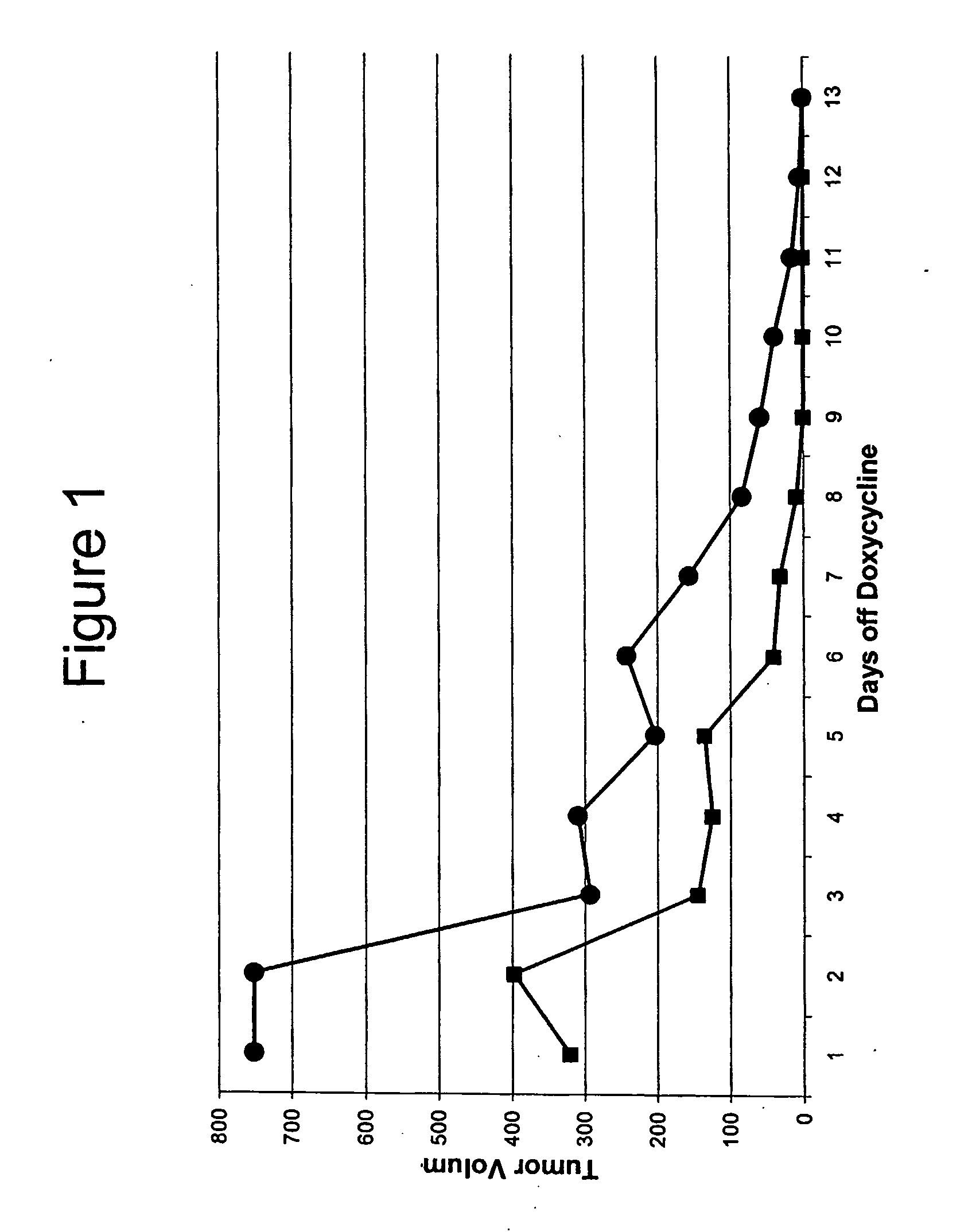 Chimeric Cancer Models