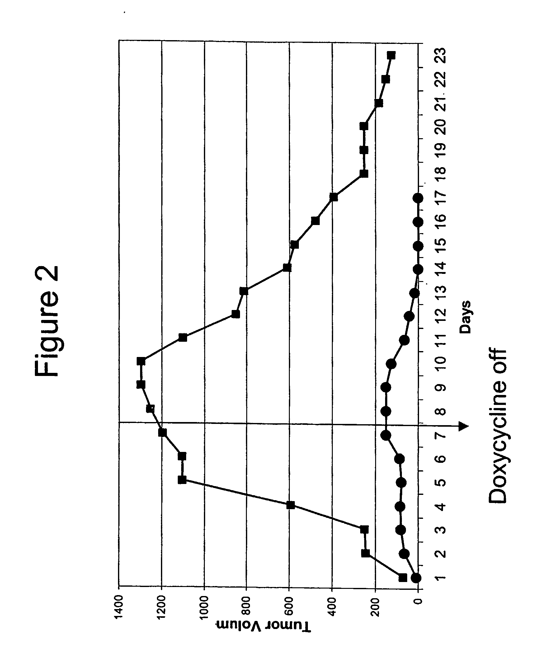 Chimeric Cancer Models