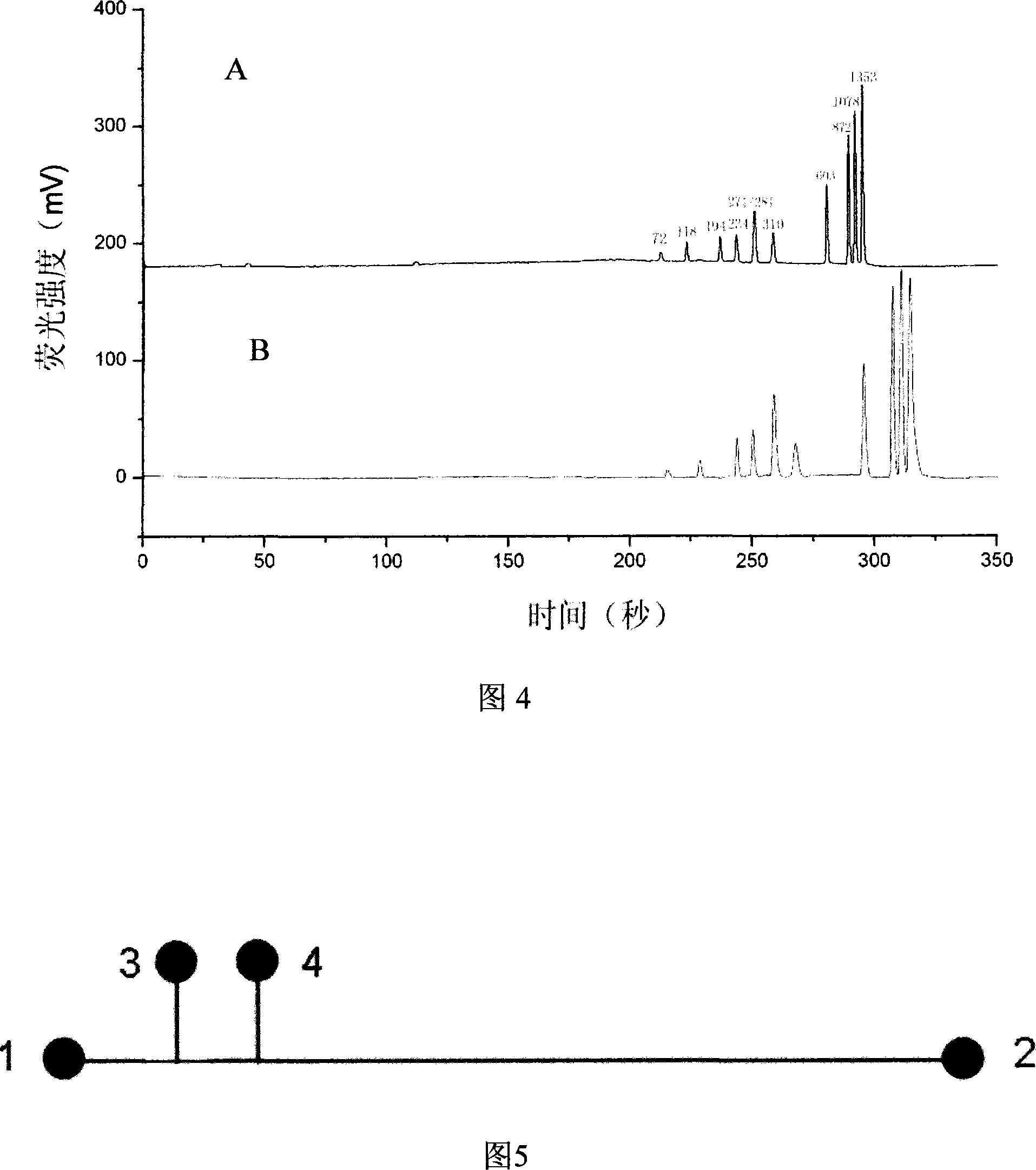 Functionalization micro-flow control chip and method for PCR product analysis