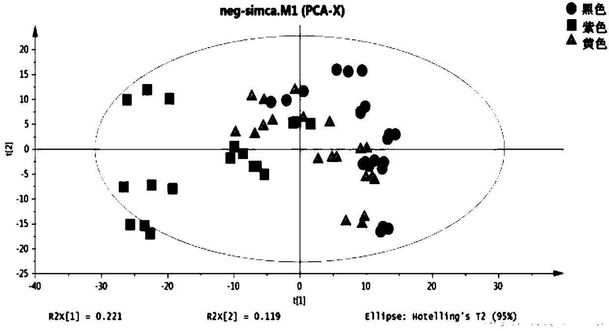 Method for analyzing Maca symbolic metabolite based on liquid chromatography-mass spectrometry metabonomics