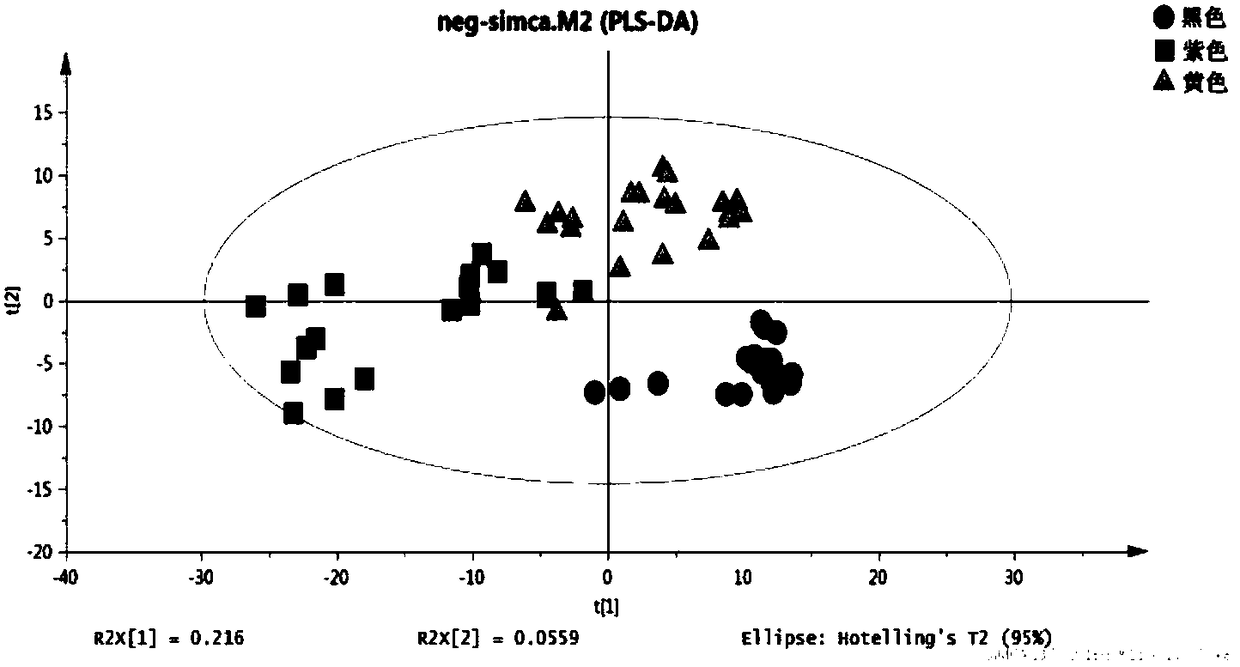 Method for analyzing Maca symbolic metabolite based on liquid chromatography-mass spectrometry metabonomics