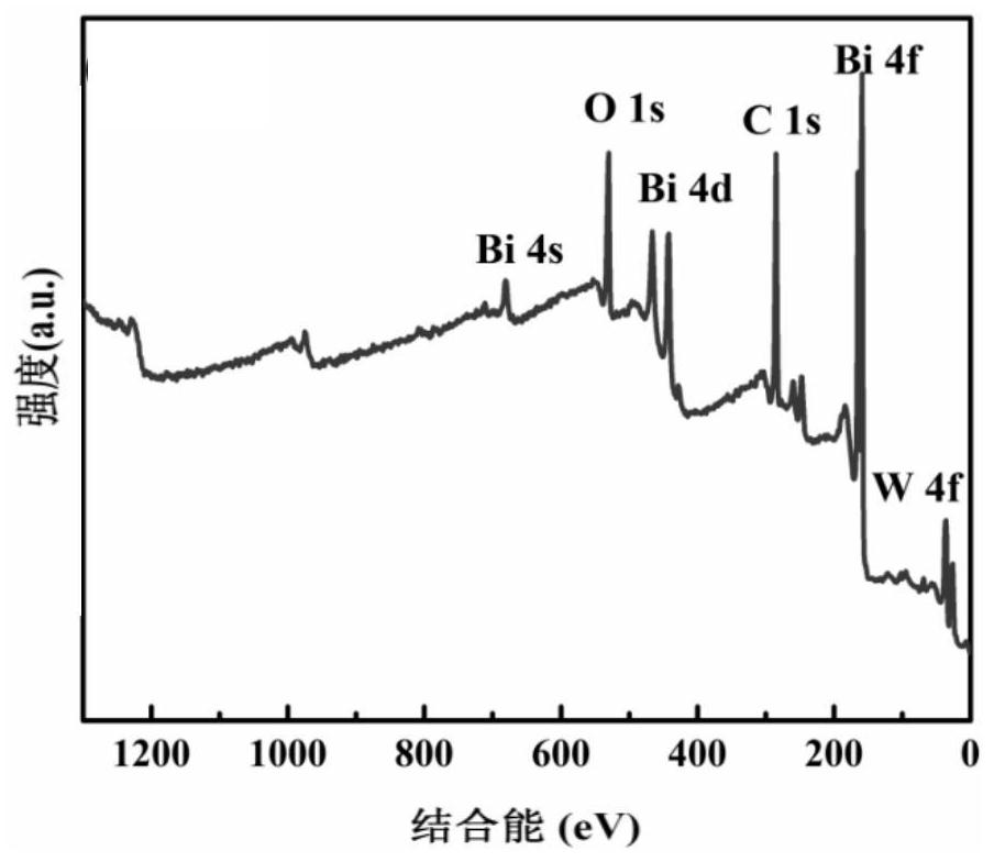 Nickel zinc ferrite/bismuth tungstate magnetic composite photocatalytic material and preparation method thereof