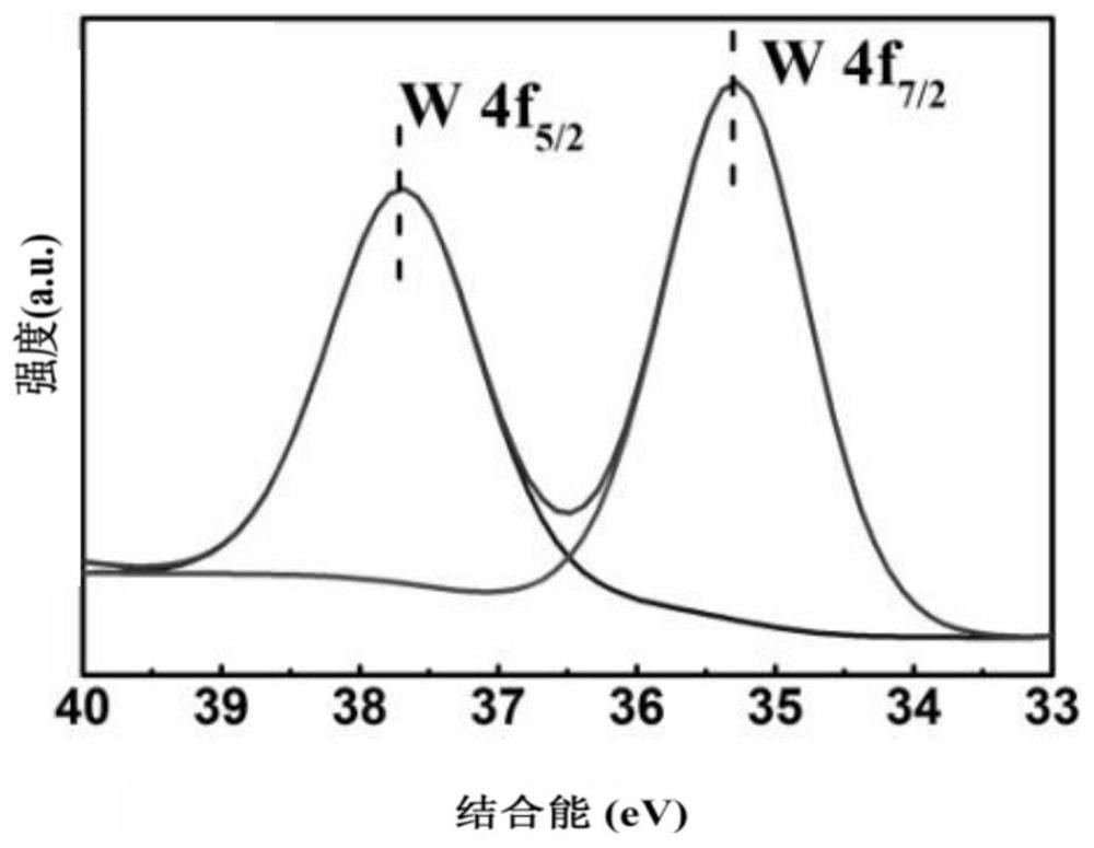 Nickel zinc ferrite/bismuth tungstate magnetic composite photocatalytic material and preparation method thereof