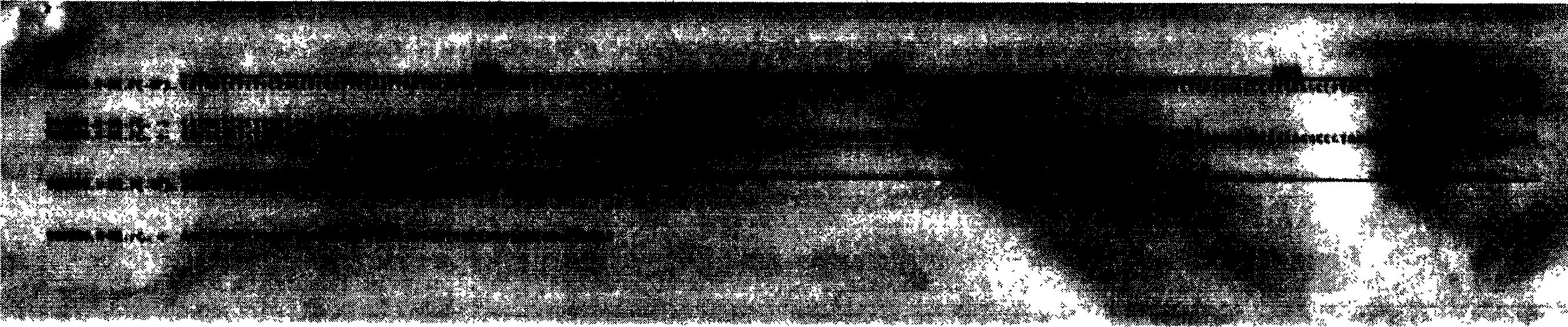 Fuse protein of specific antibody N1M1 and N2M2 and its coding gene