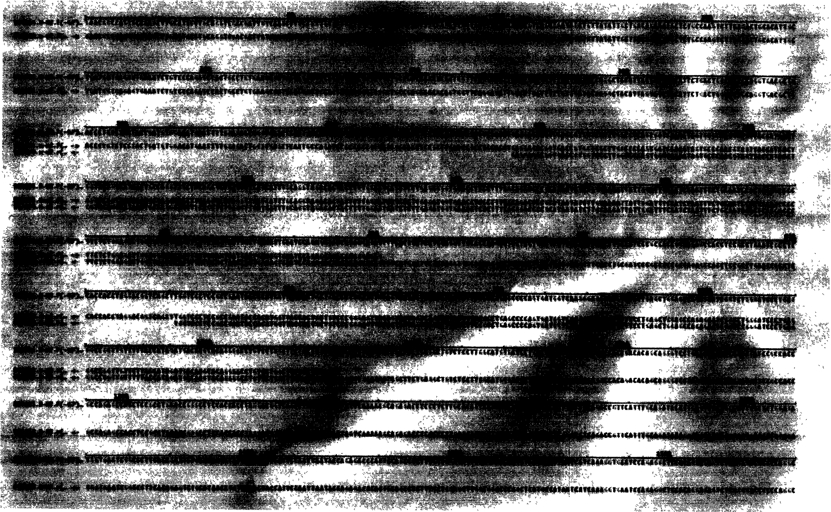 Fuse protein of specific antibody N1M1 and N2M2 and its coding gene