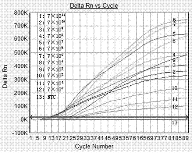 Group A rotavirus real-time isothermal amplification detection kit, primers and probe thereof