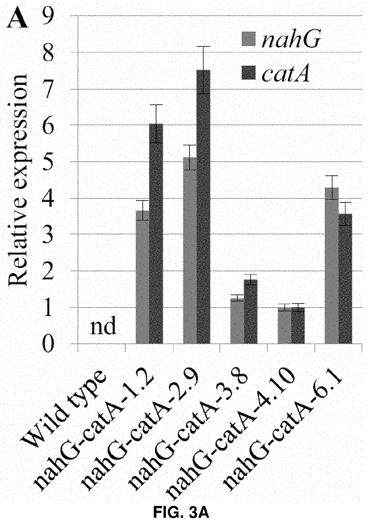 Novel plants and methods for producing muconic acid