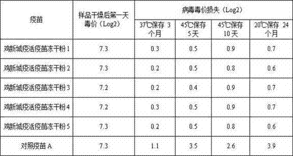 Heatproof freeze-drying protective agent of live vaccine, live vaccine freeze-drying powder and preparation method and preparation method of live vaccine freeze-drying powder