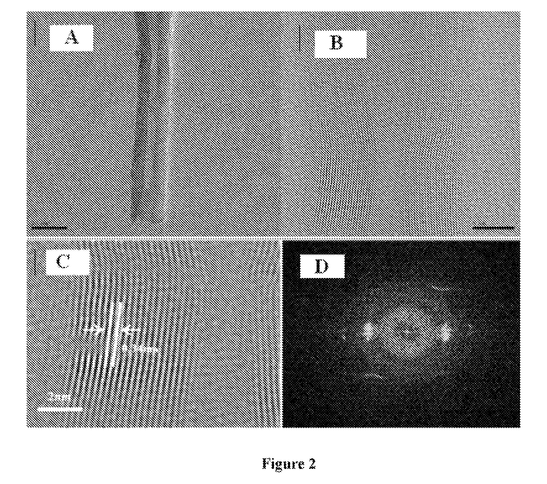 Production method for the boron nitride nanotubes